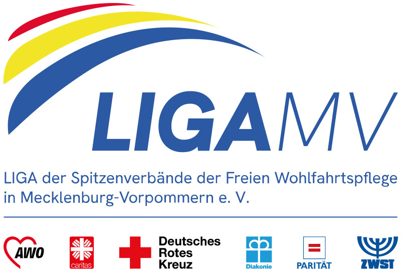 LIGA MV Logo